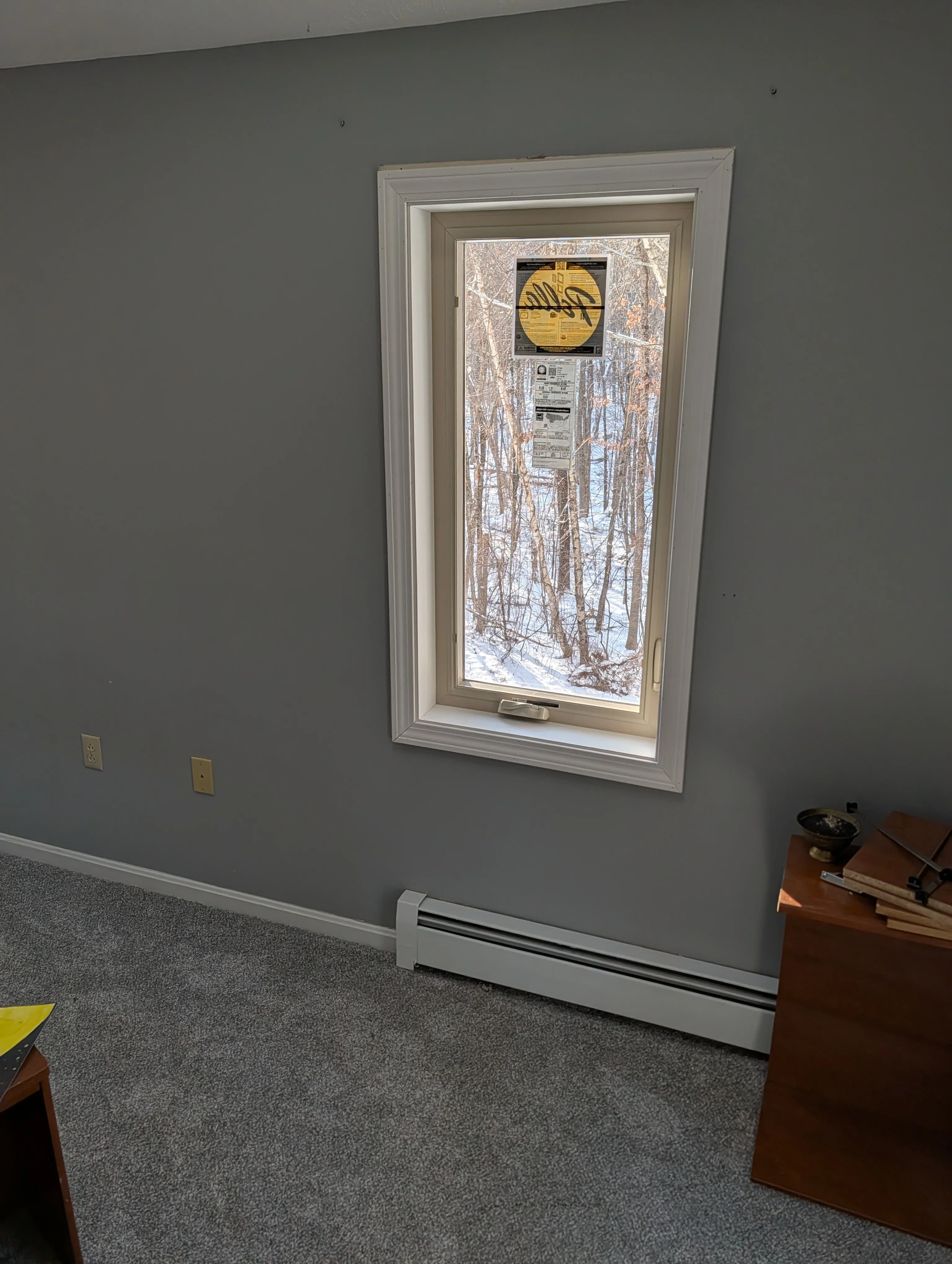 White vinyl double-hung window installed in gray drywall with winter forest view